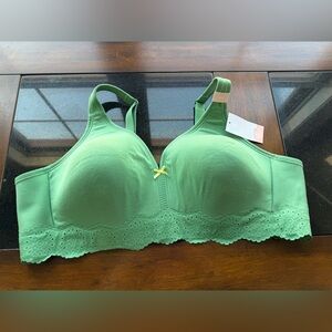 CACIQUE plus size bra 46B NEW green lace smoke pet free home